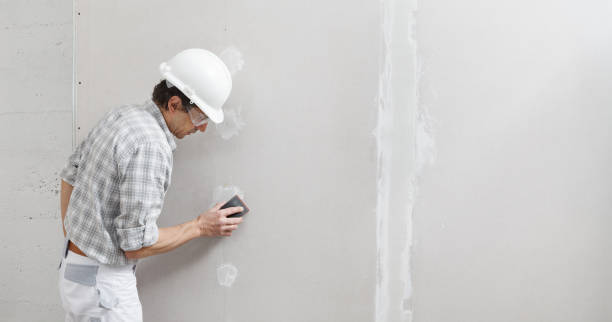 Best Mold Removal for HVAC Installations  in Ladera, CA