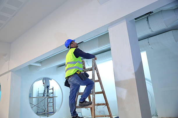 Trusted Ladera, CA Mold Removal Experts